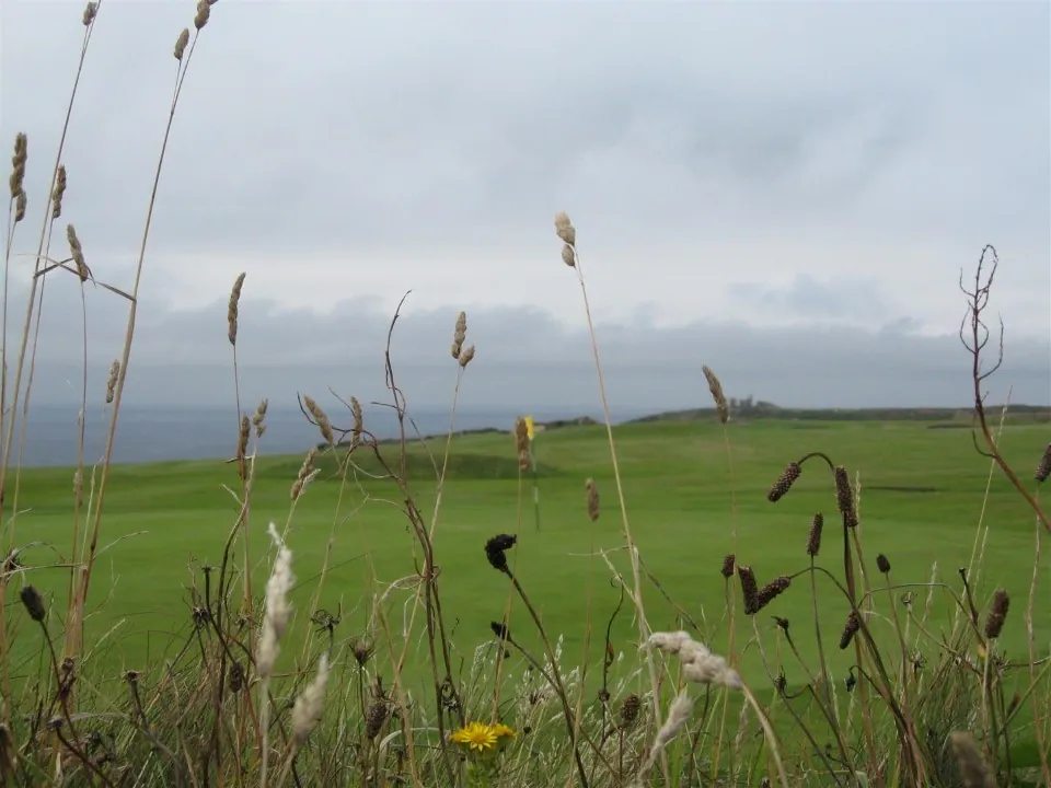 Day 1 looking across to botallack artillary